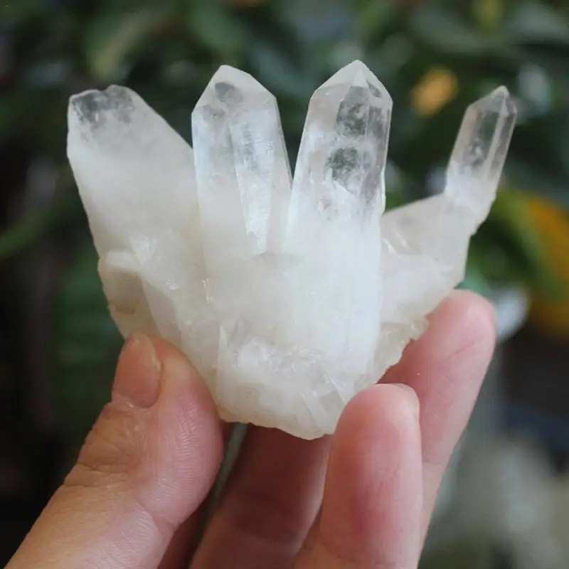Natural White Crystal Clusters Bone Quartz Point Wand Mineral Healing Specimen Stone Energy Column Degaussing Home Decoration
Natural White Crystal Clusters Bone Quartz Point Wand Mineral Healing Specimen Stone Energy Column Degaussing Home Decoration
