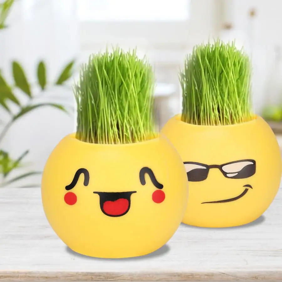 DIY Pot Planting Plant Succulent Plant PVC Small Pots Containers Garden Flower Grass Head Doll Potted Flower Pot
DIY Pot Planting Plant Succulent Plant PVC Small Pots Containers Garden Flower Grass Head Doll Potted Flower Pot