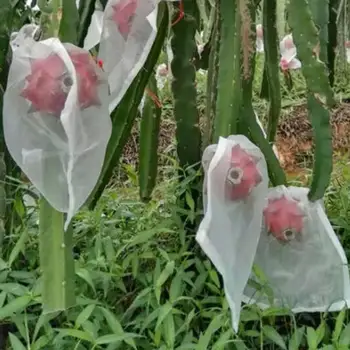 Insects Mosquito Bug Net Barrier Bag Garden Plant Fruit Flower Protect Bag Garden Netting Bag For Protecting Your Plant Fruits
Insects Mosquito Bug Net Barrier Bag Garden Plant Fruit Flower Protect Bag Garden Netting Bag For Protecting Your Plant Fruits