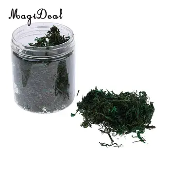 MagiDeal Military Armor/RR Scenery Scene Terrain Vegetation Grass Models for Railway Army Building Shrub Model Layout Landscape
MagiDeal Military Armor/RR Scenery Scene Terrain Vegetation Grass Models for Railway Army Building Shrub Model Layout Landscape
