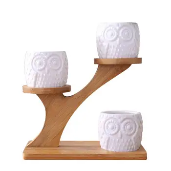 White Succulent Plant Flowerpot Holder Ceramic Owl Pattern Green Plant Container Treetop Shaped Bamboo Shelf Pot Planter Set
White Succulent Plant Flowerpot Holder Ceramic Owl Pattern Green Plant Container Treetop Shaped Bamboo Shelf Pot Planter Set