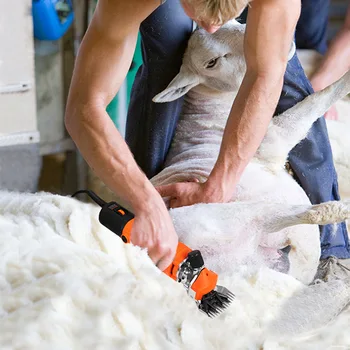Electric Sheep Pet Hair Clipper Shearing Kit Shear Wool Cut Goat Pet Animal Shearing Supplies Farm Cut Machine
Electric Sheep Pet Hair Clipper Shearing Kit Shear Wool Cut Goat Pet Animal Shearing Supplies Farm Cut Machine