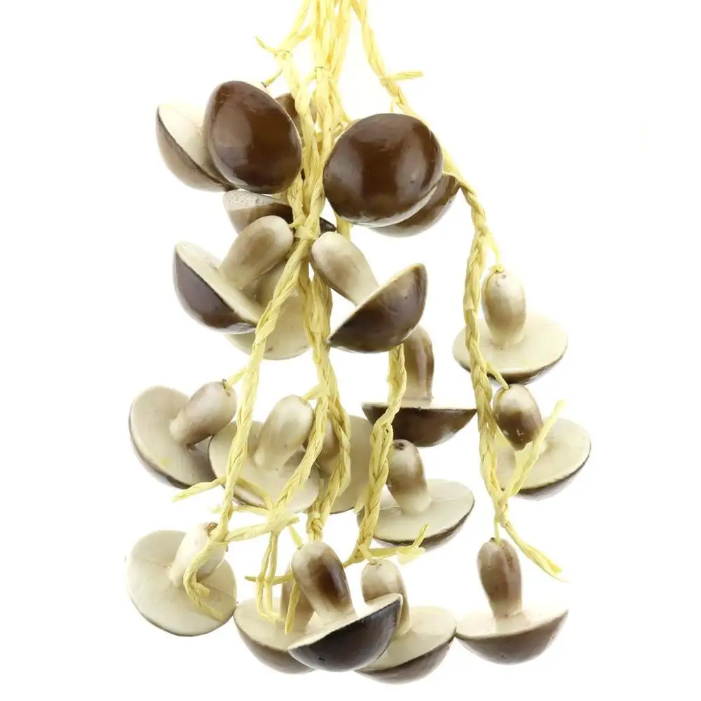 Gresorth Fake Vegetable Bunch Artificial Mushroom Decoration for Home Kitchen Shop Party Show Food Display - 5 PCS
Gresorth Fake Vegetable Bunch Artificial Mushroom Decoration for Home Kitchen Shop Party Show Food Display - 5 PCS