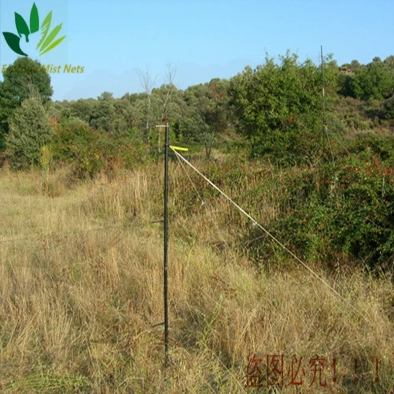 Bird Mist Nets Polyester 16MM*16MM Mesh 0.9M*12M 1 Pocket Specially Designed for Ringing/Banding Small Birds Well Tethered
Bird Mist Nets Polyester 16MM*16MM Mesh 0.9M*12M 1 Pocket Specially Designed for Ringing/Banding Small Birds Well Tethered