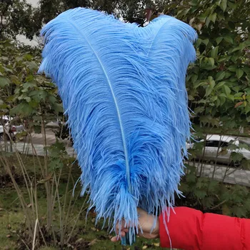 Gorgeous 100 pcs Light Blue "thick stem" male ostrich feathers 26-28inches / 65-70cm Wedding Birthday Christmas Decoration
Gorgeous 100 pcs Light Blue "thick stem" male ostrich feathers 26-28inches / 65-70cm Wedding Birthday Christmas Decoration