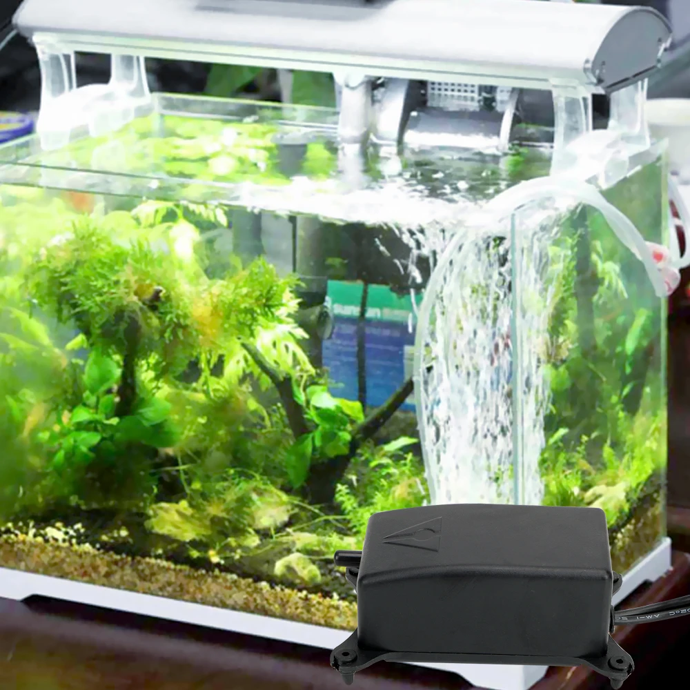 Oxygen Increasing Pump Anti-slip Fish Tank Air Pump EU/US Plug Aquarium Oxygen Pump 2 W Energy-saving Noiseless
Oxygen Increasing Pump Anti-slip Fish Tank Air Pump EU/US Plug Aquarium Oxygen Pump 2 W Energy-saving Noiseless