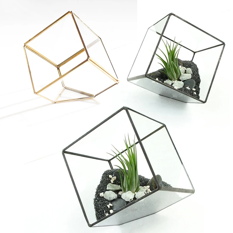 10*10cm Glass Box Irregular Glass Geometric Terrarium Box Tabletop Succulent Plant Planter Case
10*10cm Glass Box Irregular Glass Geometric Terrarium Box Tabletop Succulent Plant Planter Case