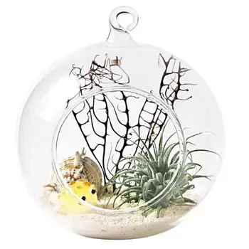 Hanging Open Transparent Glass Ball Vase Micro Landscape Hydroponic Glass Vase Borosilicate Glass Hanging Ball For Home
Hanging Open Transparent Glass Ball Vase Micro Landscape Hydroponic Glass Vase Borosilicate Glass Hanging Ball For Home