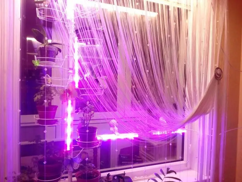 3W/14LED 5W/27 LED Grow Light USB Red & Blue Hydroponic Plant Growing Light Bar for Desktop Plant Flower Growing DC 5V
3W/14LED 5W/27 LED Grow Light USB Red & Blue Hydroponic Plant Growing Light Bar for Desktop Plant Flower Growing DC 5V