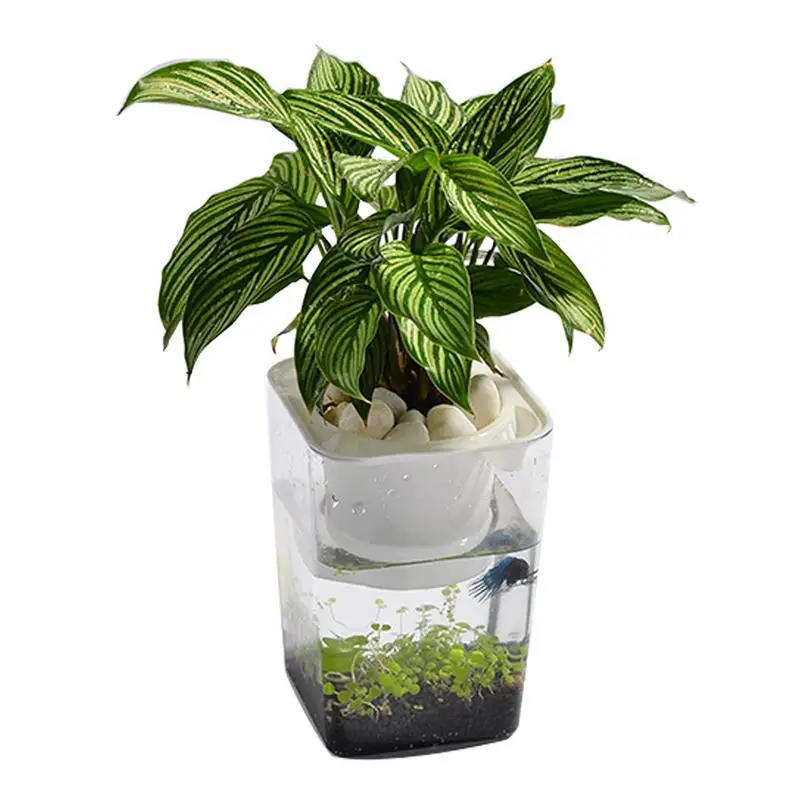 Mini Fish Tank Fish Vegetables Symbiotic Water Grass Ultra-White Desktop Ecological Plastic Convenient Fish Tank Grows Plants
Mini Fish Tank Fish Vegetables Symbiotic Water Grass Ultra-White Desktop Ecological Plastic Convenient Fish Tank Grows Plants