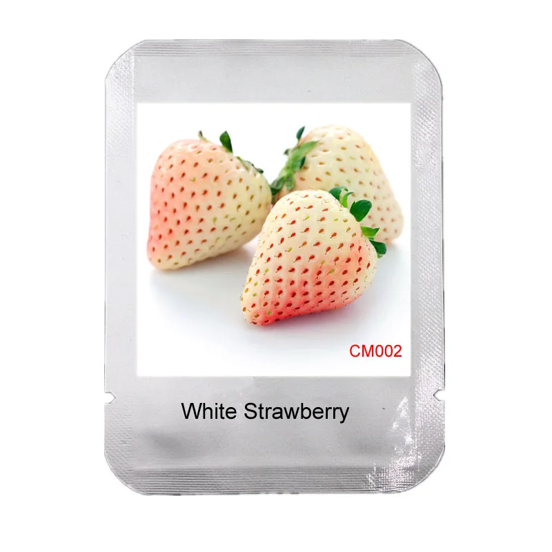 100 Pcs Rare Snow White Strawberry Garden, New packaging Delicious Fruit and Vegetable Plantas, Four-season Bonsai Plants, #CM0
100 Pcs Rare Snow White Strawberry Garden, New packaging Delicious Fruit and Vegetable Plantas, Four-season Bonsai Plants, #CM0