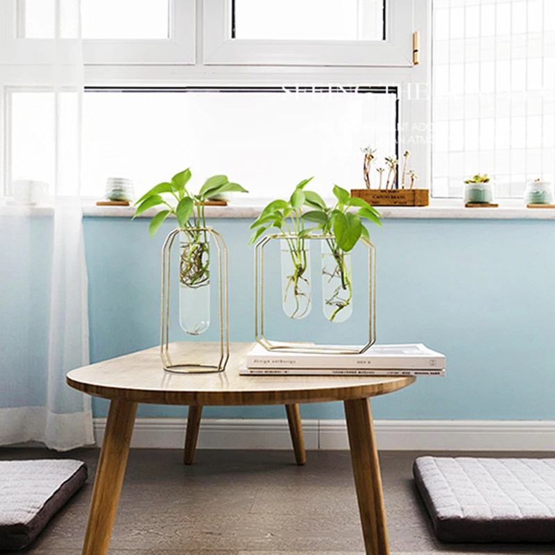 Nordic Glass Cuvette Vase Modern Gold Plated Iron Flower Vase Fashion Plant Vase Creative Terrarium Room Home Wedding Decorati
Nordic Glass Cuvette Vase Modern Gold Plated Iron Flower Vase Fashion Plant Vase Creative Terrarium Room Home Wedding Decorati