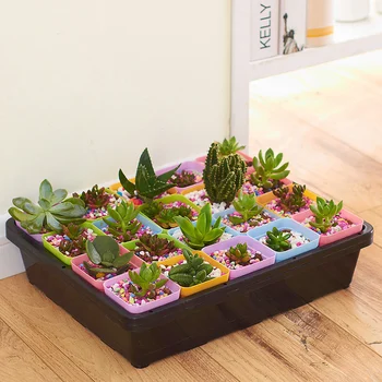 Behogar Rreusable Plastic Plant Growing Tray with Drain Hole for Garden Greenhouse Succulent Seedlings Wheatgrass Microgreen
Behogar Rreusable Plastic Plant Growing Tray with Drain Hole for Garden Greenhouse Succulent Seedlings Wheatgrass Microgreen