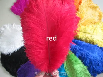 Wholesale 100 pcs Wedding Birthday Party red Ostrich Feather 12-14 inch / 30-35 cm Free Shipping
Wholesale 100 pcs Wedding Birthday Party red Ostrich Feather 12-14 inch / 30-35 cm Free Shipping