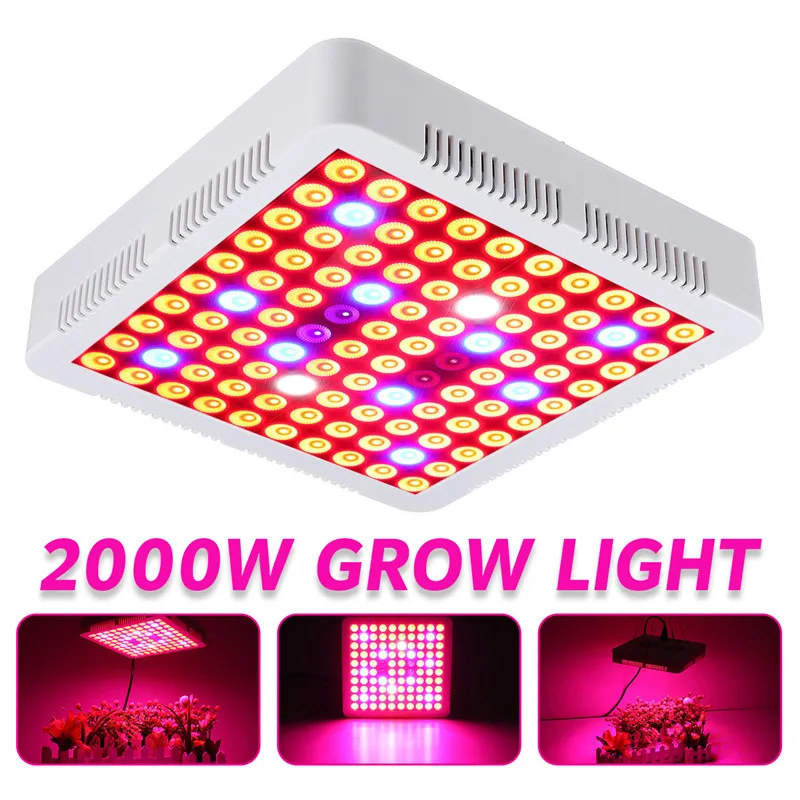 2000W 100leds Red Blue UV IR LED Grow Light Full Spectrum Phytolamp Plants Tent Greenhouse Hydroponic Seedling Flower Vegetables
2000W 100leds Red Blue UV IR LED Grow Light Full Spectrum Phytolamp Plants Tent Greenhouse Hydroponic Seedling Flower Vegetables