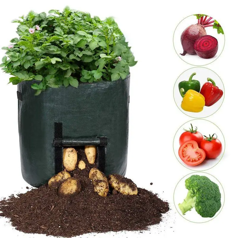 Plant Bags, 7 Gallon Grow Bags Heavy Duty Breathable Plant Fabric Pots with Handles and Flap (2 Packs)
Plant Bags, 7 Gallon Grow Bags Heavy Duty Breathable Plant Fabric Pots with Handles and Flap (2 Packs)