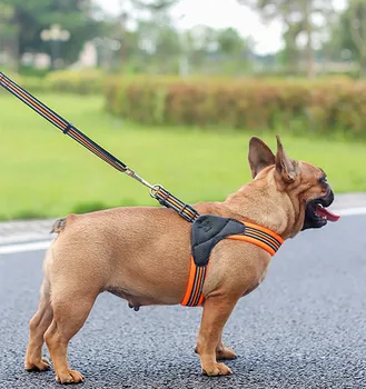 Reflective Soft Dog Harness Nylon Leash Vest For Pug Small Medium Large Dogs Outdoor Dog Training Walking Safety Dog Accessories
Reflective Soft Dog Harness Nylon Leash Vest For Pug Small Medium Large Dogs Outdoor Dog Training Walking Safety Dog Accessories