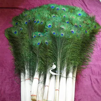 10pcs/set Peacock Tail Feathers Beautiful Natural Peacock Feather Eyes For DIY Clothes Decoration Wedding Party 26-30cm Plumas
10pcs/set Peacock Tail Feathers Beautiful Natural Peacock Feather Eyes For DIY Clothes Decoration Wedding Party 26-30cm Plumas