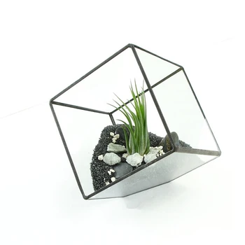 1pc IrregularGlass Vase Geometric Succulent Planter Vase Box Terrarium Flower Vase Window Pot Box Container Case
1pc IrregularGlass Vase Geometric Succulent Planter Vase Box Terrarium Flower Vase Window Pot Box Container Case