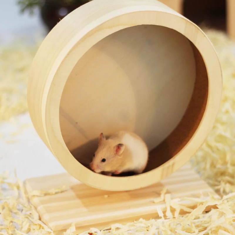 Hamster Wheel Small Pet Running Wheel Wood Jogging Hamster Mouse Running Exercise Wheel For Animal Pet Toy Pets Supplies
Hamster Wheel Small Pet Running Wheel Wood Jogging Hamster Mouse Running Exercise Wheel For Animal Pet Toy Pets Supplies