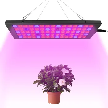 Phyto Lamp Indoor Grow Lamp For Plant 300-830nm Full Spectrum LED Growing Light 85-265V 50W UV IR Lamps Panel Plant Light
Phyto Lamp Indoor Grow Lamp For Plant 300-830nm Full Spectrum LED Growing Light 85-265V 50W UV IR Lamps Panel Plant Light