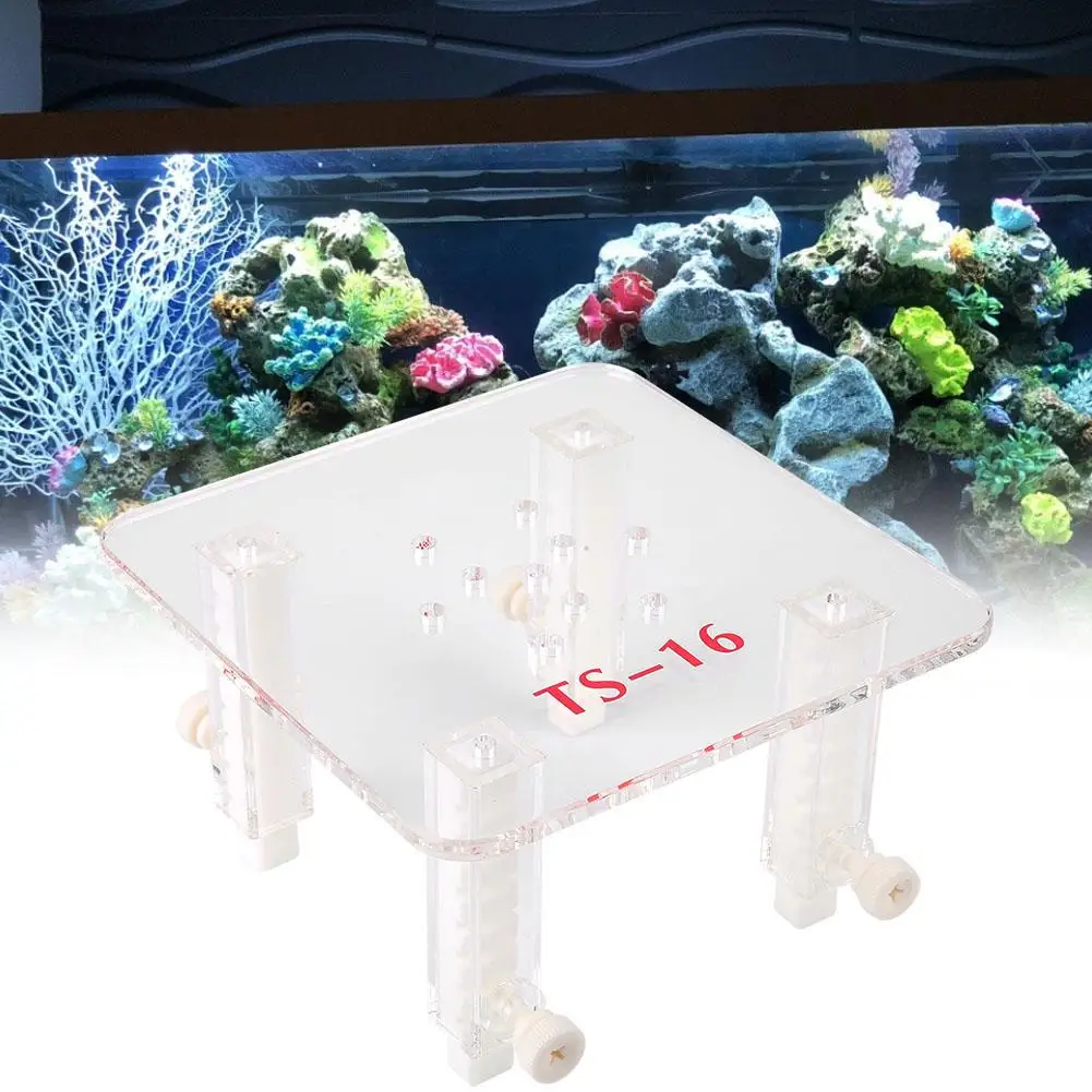 Adjustable Plastic Support Aquarium Filter Fish Eggs Divider with Scales for Fish Protein Skimmer Aquarium Accessory Hot
Adjustable Plastic Support Aquarium Filter Fish Eggs Divider with Scales for Fish Protein Skimmer Aquarium Accessory Hot