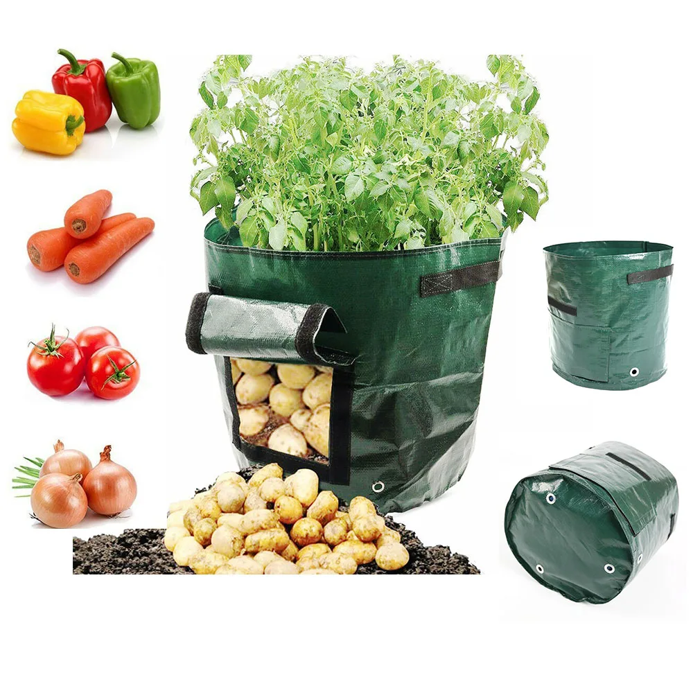 Potato Grow Planter PE Cloth Planting Container Bag Thicken Garden Pot Planter Growing Box Woven Fabric Bag Farm Pots Jardin
Potato Grow Planter PE Cloth Planting Container Bag Thicken Garden Pot Planter Growing Box Woven Fabric Bag Farm Pots Jardin