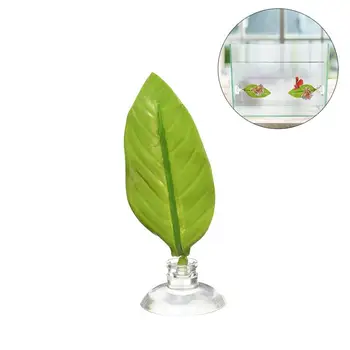 Fish Tank Aquarium Artificial Leaf Betta Fish Rest Spawning Ornamental Plant Betta Fish Play Relax Hide Leaf Hammock
Fish Tank Aquarium Artificial Leaf Betta Fish Rest Spawning Ornamental Plant Betta Fish Play Relax Hide Leaf Hammock