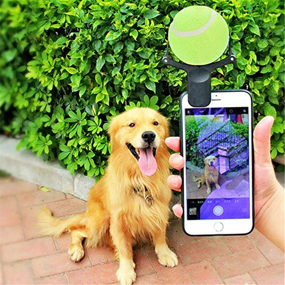 Dog Cat Pet Selfie Stick Rod Dog Cat Take Photos Training Toy Flower Camera Phone Clip Selfie Artifact Pet Supplies Toy #3
Dog Cat Pet Selfie Stick Rod Dog Cat Take Photos Training Toy Flower Camera Phone Clip Selfie Artifact Pet Supplies Toy #3