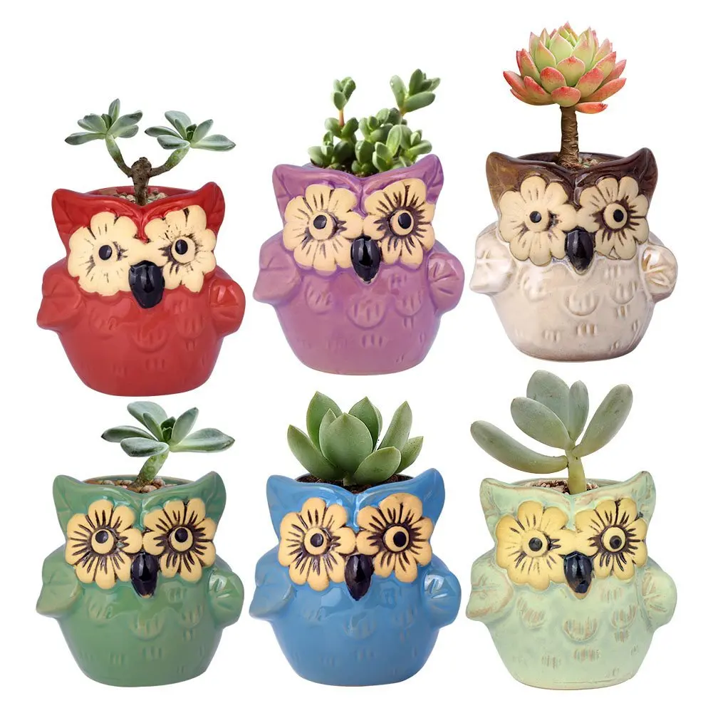2.7 Inch Owl Pot Ceramic Flowing Glaze Base Serial Set Succulent Cactus Plant Flower Pot Container Planter Bonsai Garden Pots
2.7 Inch Owl Pot Ceramic Flowing Glaze Base Serial Set Succulent Cactus Plant Flower Pot Container Planter Bonsai Garden Pots