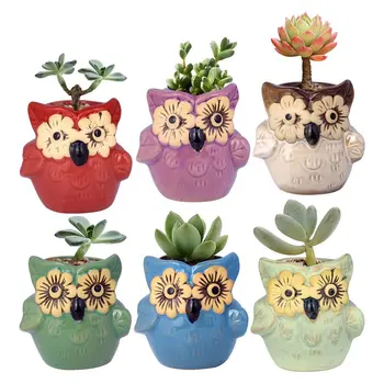 2.7 Inch Owl Pot Ceramic Flowing Glaze Base Serial Set Succulent Cactus Plant Flower Pot Container Planter Bonsai Garden Pots
2.7 Inch Owl Pot Ceramic Flowing Glaze Base Serial Set Succulent Cactus Plant Flower Pot Container Planter Bonsai Garden Pots