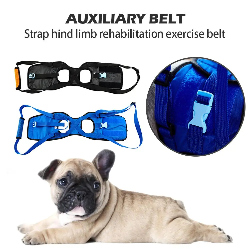 Older Dog Hind Legs Disabled Dog Assisted Seat Belt Harness Hind Limb Rehabilitation Exercise Belt Dog Outdoor Chest Strap
Older Dog Hind Legs Disabled Dog Assisted Seat Belt Harness Hind Limb Rehabilitation Exercise Belt Dog Outdoor Chest Strap