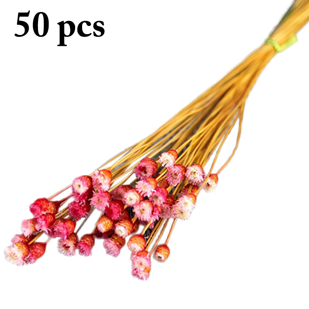 50Pcs Dry Flower Bouquet Natural Decorative Dry Flower Preserved Flower Bouquet Home Decoration Supplies Wedding Arrangement
50Pcs Dry Flower Bouquet Natural Decorative Dry Flower Preserved Flower Bouquet Home Decoration Supplies Wedding Arrangement