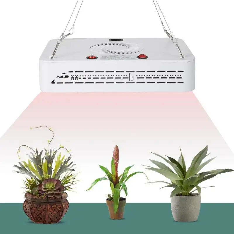600W Full Spectrum LED Plant Grow Light Garden Vegetables Growing Lamp For Indoor Plant Seedling Grow and Flower Growth
600W Full Spectrum LED Plant Grow Light Garden Vegetables Growing Lamp For Indoor Plant Seedling Grow and Flower Growth