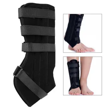Tendon After Operation Ankle Joint External Fixation Fracture Treatment Fix Support Tool Brace Support a
Tendon After Operation Ankle Joint External Fixation Fracture Treatment Fix Support Tool Brace Support a