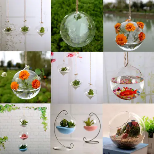 Fashion Transparent Home Garden Clear Glass Flower Plant Stand Hanging Vase Planter Terrarium Container New Home Office Decor
Fashion Transparent Home Garden Clear Glass Flower Plant Stand Hanging Vase Planter Terrarium Container New Home Office Decor