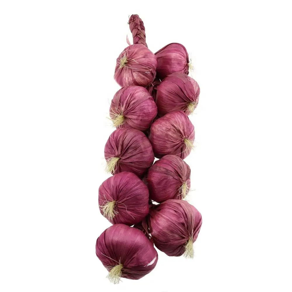Gresorth 1pc Artificial White Onion String Fake Vegatable Home Party Christmas Harvest Decoration
Gresorth 1pc Artificial White Onion String Fake Vegatable Home Party Christmas Harvest Decoration