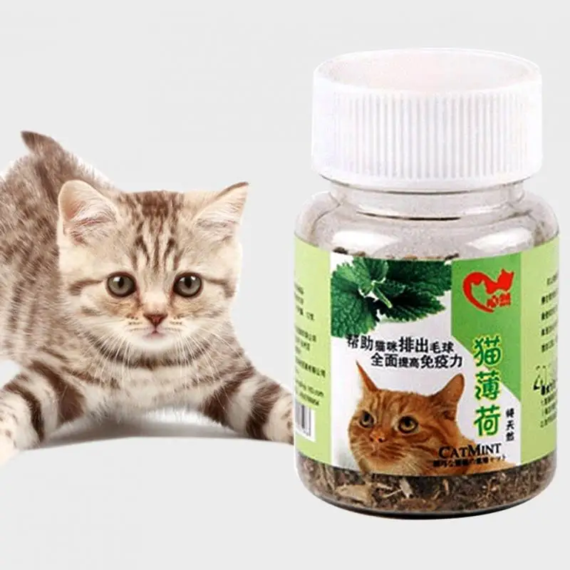 12G Natural Pet Cat Mint Fresh Organic Dried Catnip Healthy Cat Supplies Drop Shipping #1212
12G Natural Pet Cat Mint Fresh Organic Dried Catnip Healthy Cat Supplies Drop Shipping #1212
