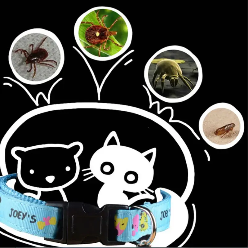 Summer Dog Cat Reject Collars Pest Fleas Control Anti-Flea Solid Neck Collar Bells Pet Summer Outdoor For Small Dogs Supplies
Summer Dog Cat Reject Collars Pest Fleas Control Anti-Flea Solid Neck Collar Bells Pet Summer Outdoor For Small Dogs Supplies