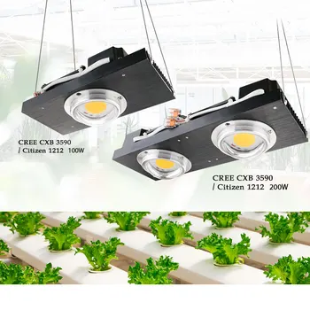 CREE CXB3590 COB LED Grow Light Full Spectrum 100W Citizen 1212 LED Grow Lamp for Indoor Tent Greenhouse Hydroponic Plant Flower
CREE CXB3590 COB LED Grow Light Full Spectrum 100W Citizen 1212 LED Grow Lamp for Indoor Tent Greenhouse Hydroponic Plant Flower