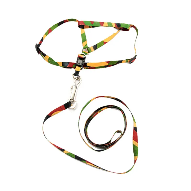Rope leash for Small dogs Adjustable Harness Rope Lead Leash Chest Strap 1CM
Rope leash for Small dogs Adjustable Harness Rope Lead Leash Chest Strap 1CM