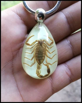 Car motorcycle light insect keychain scorpion key ring for Chevrolet Trailblazer Onix Tru Orlando Code Captiva
Car motorcycle light insect keychain scorpion key ring for Chevrolet Trailblazer Onix Tru Orlando Code Captiva