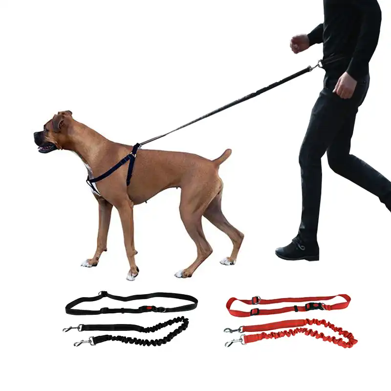 dog waist belt