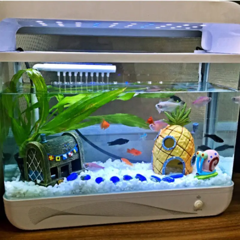 cute fish tanks