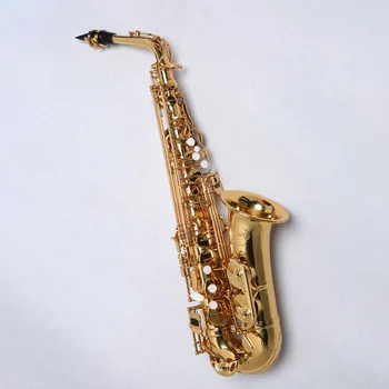 High Quality American WAS-310 New Golden Saxophone E Flat Alto Saxophone Super Playing Musical Instruments
High Quality American WAS-310 New Golden Saxophone E Flat Alto Saxophone Super Playing Musical Instruments