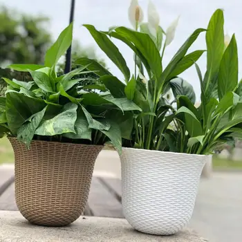 Flower Pot Automatic Water Absorption Innovative Plant Hydroponic Hanging Self - Service Watering Wall Hanging Without Hook
Flower Pot Automatic Water Absorption Innovative Plant Hydroponic Hanging Self - Service Watering Wall Hanging Without Hook