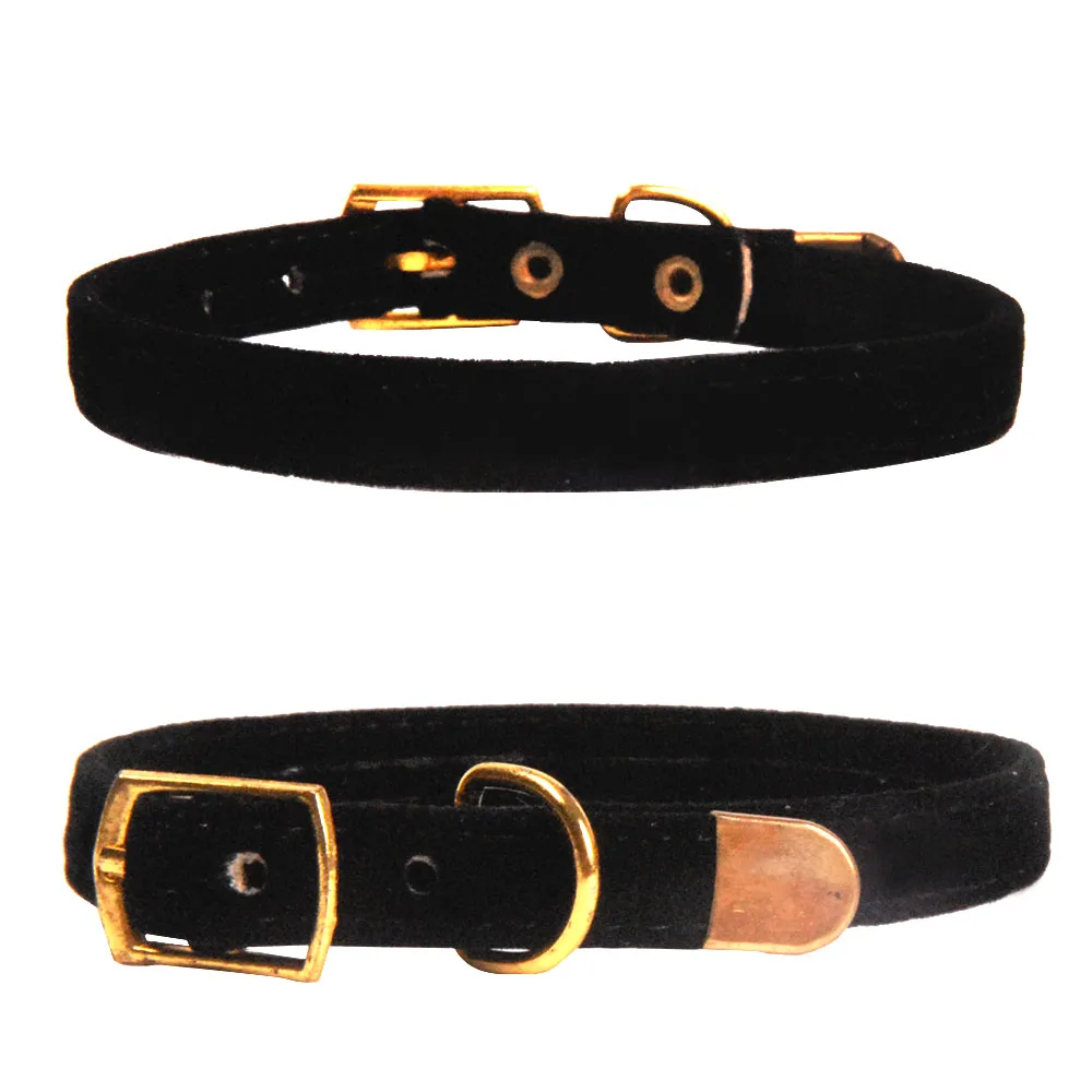 0254-3 cat collar