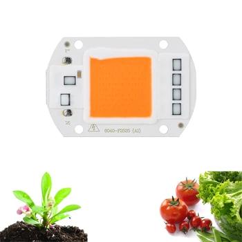 20W 30W 50W Plant Growth Chip Full Spectrum High Power SMD6040 LED Chip Grow Light for Indoor Greenery Plants Flowers IP62
20W 30W 50W Plant Growth Chip Full Spectrum High Power SMD6040 LED Chip Grow Light for Indoor Greenery Plants Flowers IP62