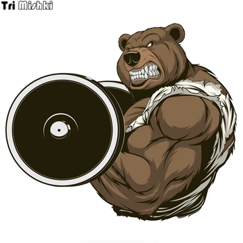 Tri Mishki WCS148 14x16cm strong ferocious bear car sticker funny colorful auto automobile decals
Tri Mishki WCS148 14x16cm strong ferocious bear car sticker funny colorful auto automobile decals