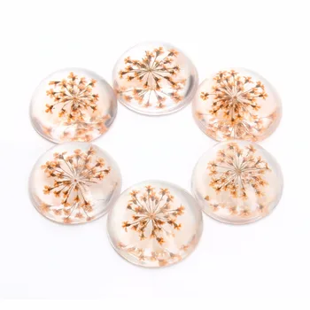 LOULEUR NEW 5pcs Orange Dried Flower Round Cabochons Handmade Photo Glass & Dome DIY Jewelry Handmade Cabochon Ornament Fittings
LOULEUR NEW 5pcs Orange Dried Flower Round Cabochons Handmade Photo Glass & Dome DIY Jewelry Handmade Cabochon Ornament Fittings
